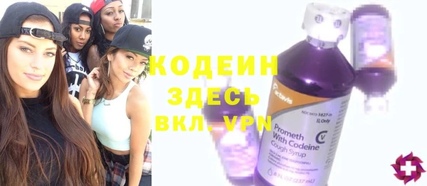 первитин Каменка