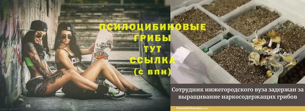 MESCALINE Балахна