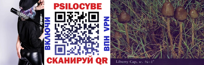 shop телеграм  Полысаево  Псилоцибиновые грибы Cubensis 