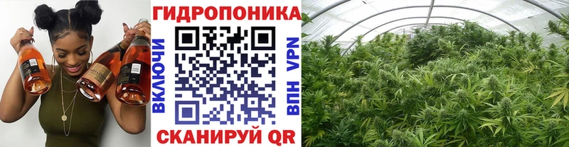 продажа наркотиков Полысаево Шишки марихуана планчик